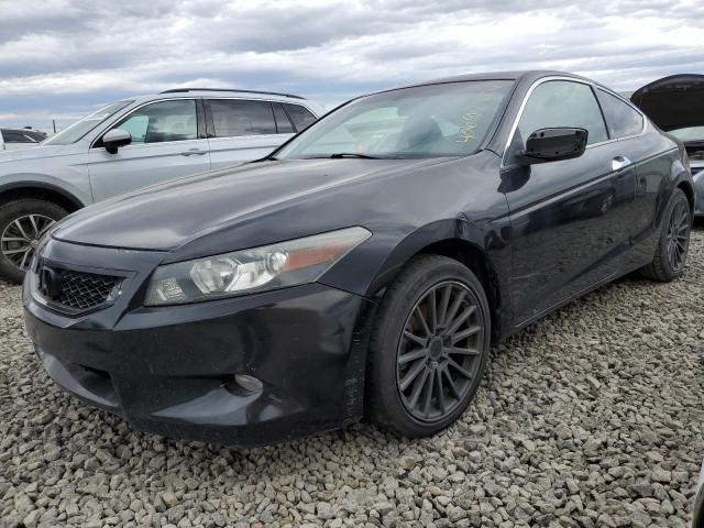 2010 HONDA ACCORD EXL, 