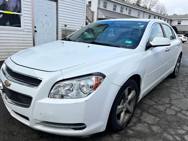 1G1ZC5E05CF215842 - 2012 CHEVROLET MALIBU 1LT WHITE photo 2