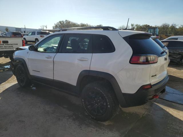 1C4PJMBX5KD228441 - 2019 JEEP CHEROKEE TRAILHAWK 白色 照片 2
