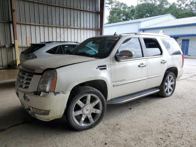 1GYFK63867R317192 - 2007 CADILLAC ESCALADE LUXURY WHITE photo 2