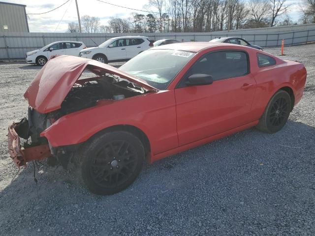 1ZVBP8AM5E5216678 - 2014 FORD MUSTANG RED photo 1