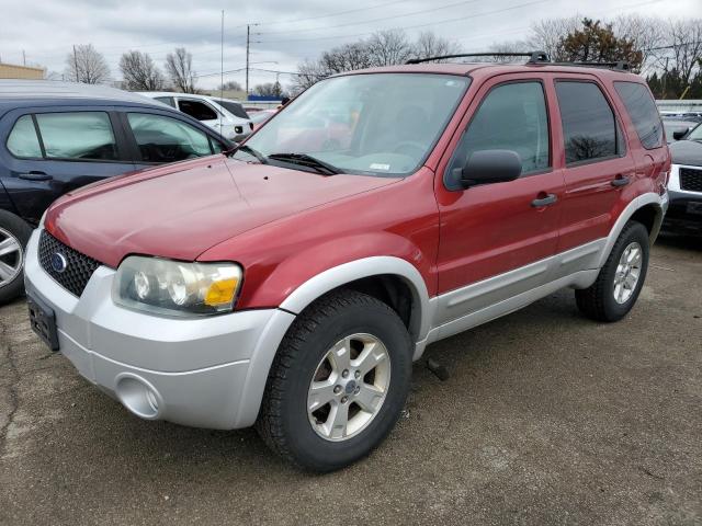 1FMYU03107KB00783 - 2007 FORD ESCAPE XLT RED photo 1