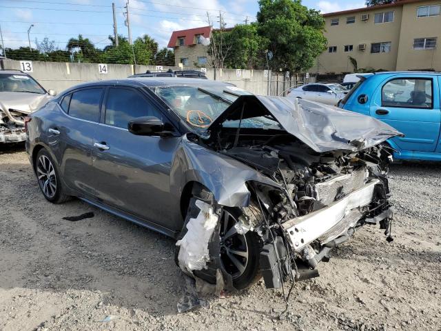 1N4AA6AP0HC437982 - 2017 NISSAN MAXIMA 3.5S GRAY photo 4