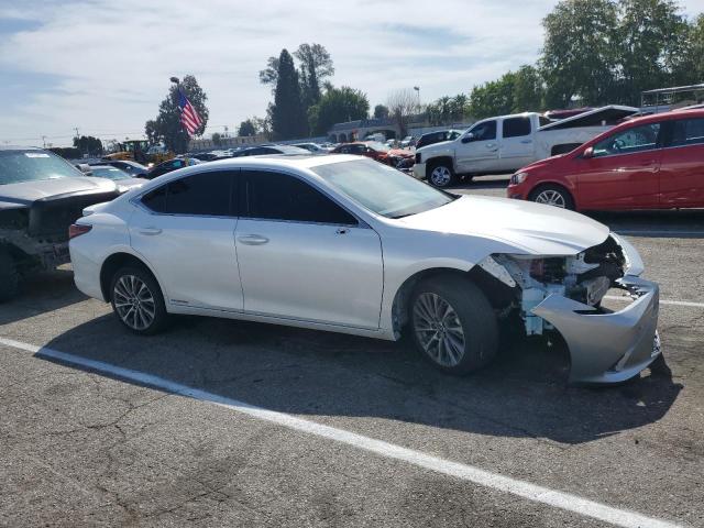 58AD21B13LU007243 - 2020 LEXUS ES 300H WHITE photo 4