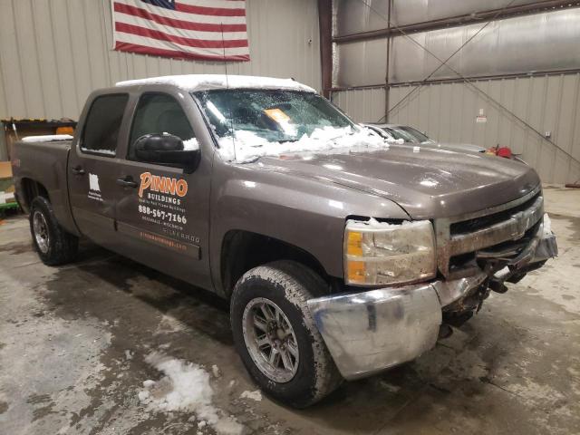 100000000013795W1 - 2013 CHEVROLET SILVERADO BROWN photo 4