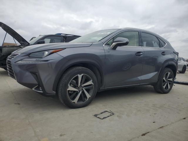 JTJGARBZ9M2183384 - 2021 LEXUS NX 300 BASE ნაცრისფერი ფოტო 1