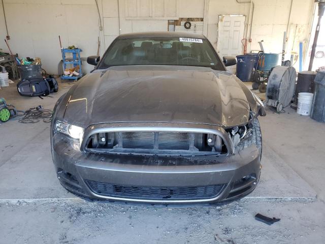 1ZVBP8AM7D5231696 - 2013 FORD MUSTANG GRAY photo 5