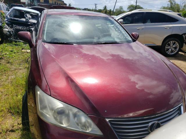 JTHBJ46G982219569 - 2008 LEXUS ES 350 MAROON photo 5