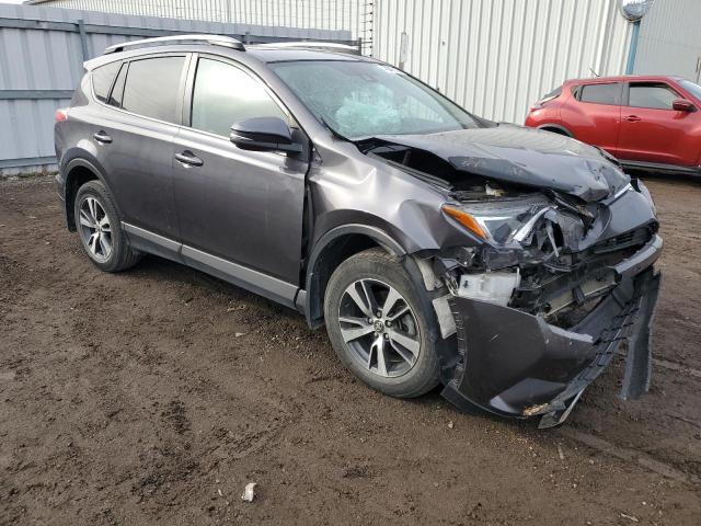 2T3RFREV9HW541568 - 2017 TOYOTA RAV4 XLE GRAY photo 4