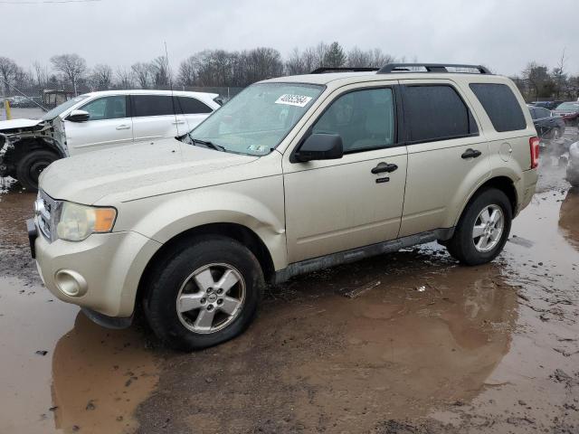 2010 FORD ESCAPE XLT, 