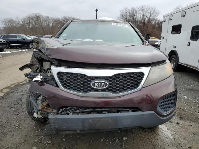 5XYKTCA14BG171503 - 2011 KIA SORENTO BASE MAROON photo 5