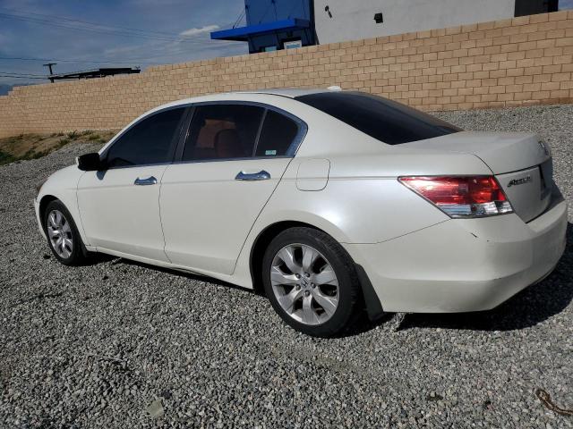 1HGCP36849A023300 - 2009 HONDA ACCORD EXL WHITE photo 2