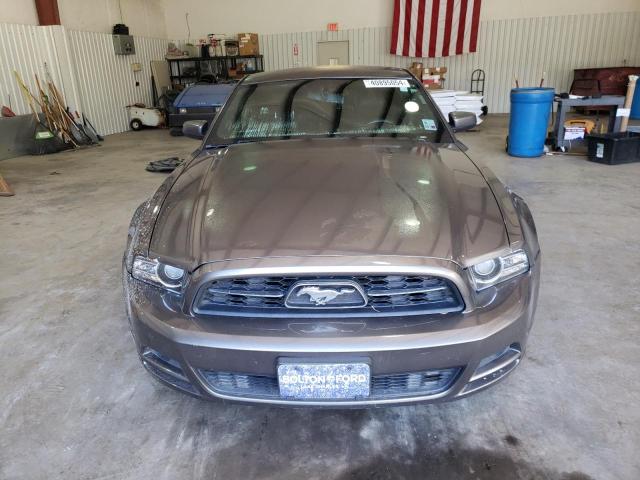 1ZVBP8AM6E5309533 - 2014 FORD MUSTANG GRAY photo 5