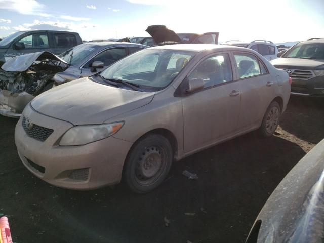 1NXBU4EE5AZ323703 - 2010 TOYOTA COROLLA BASE GOLD photo 1