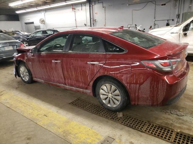 KMHE24L12GA017104 - 2016 HYUNDAI SONATA HYBRID RED photo 2