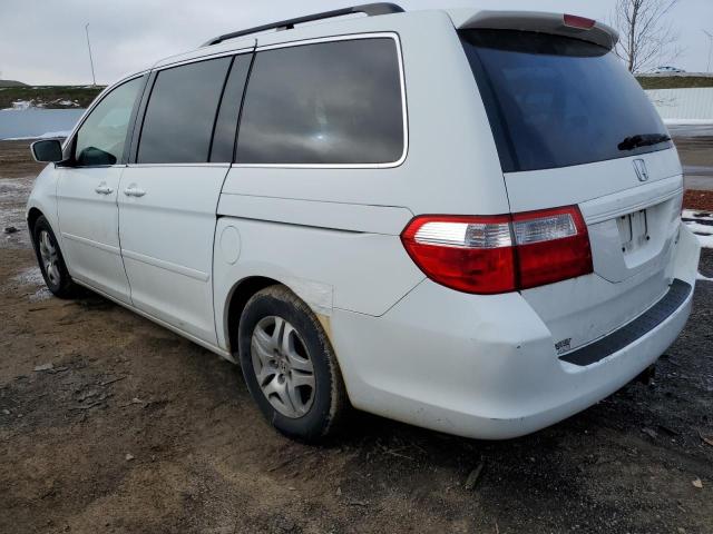 5FNRL38415B407423 - 2005 HONDA ODYSSEY EX WHITE photo 2