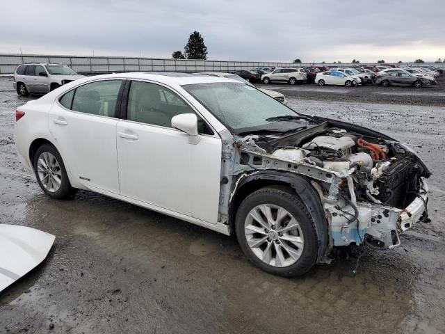 JTHBW1GG6E2073156 - 2014 LEXUS ES 300H WHITE photo 4