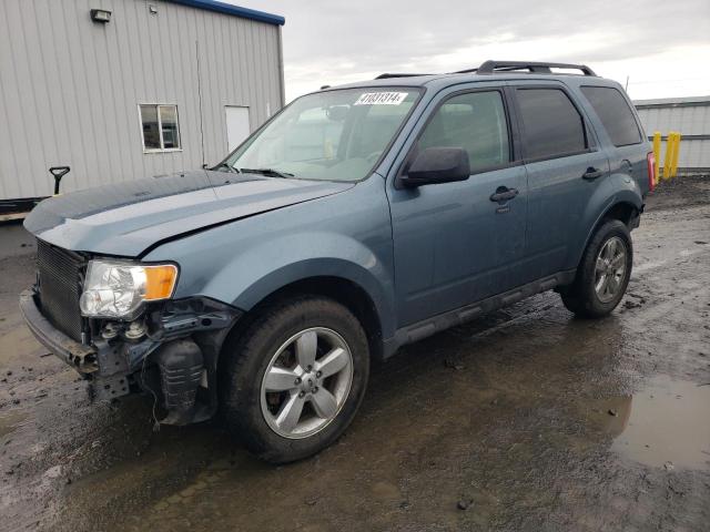 1FMCU9D76BKC23644 - 2011 FORD ESCAPE XLT GRAY photo 1