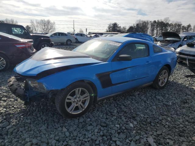 1ZVBP8AN0A5101425 - 2010 FORD MUSTANG BLUE photo 1