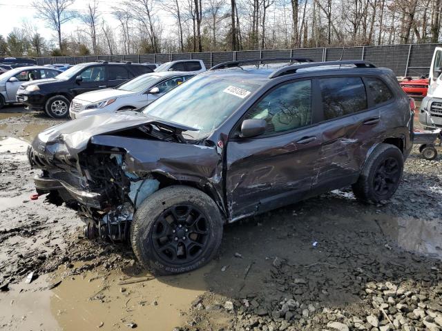 1C4PJMBN4KD238148 - 2019 JEEP CHEROKEE TRAILHAWK GRAY photo 1