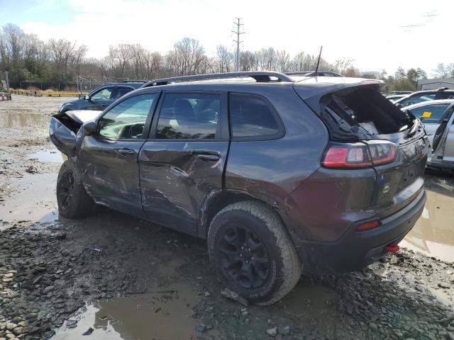 1C4PJMBN4KD238148 - 2019 JEEP CHEROKEE TRAILHAWK GRAY photo 2