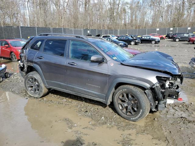 1C4PJMBN4KD238148 - 2019 JEEP CHEROKEE TRAILHAWK GRAY photo 4