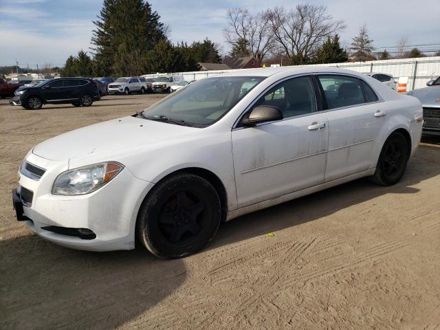 1G1ZA5EU0CF398219 - 2012 CHEVROLET MALIBU LS WHITE photo 1