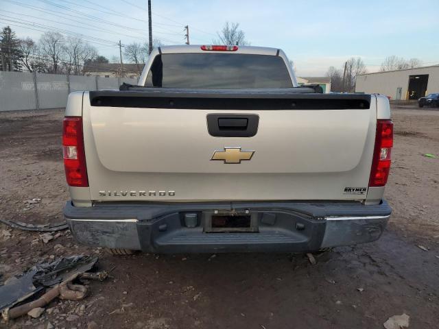 2GCEC13C691113574 - 2009 CHEVROLET SILVERADO C1500 Boz foto 6