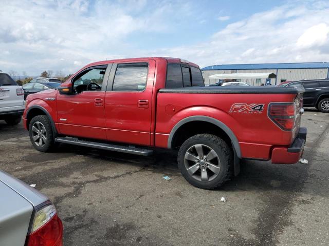 1FTFW1ET1CFB91754 - 2012 FORD F150 SUPER RED photo 2