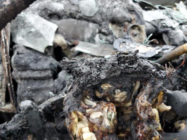 3C6UR5MJ9GG362056 - 2016 RAM 2500 SLT დამწვარი ფოტო 9