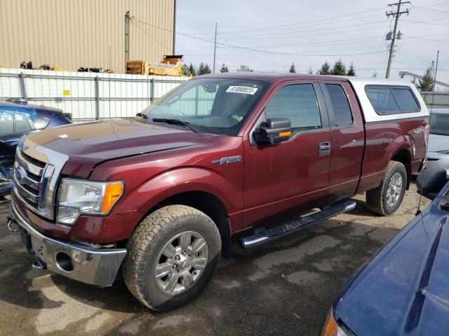 1FTRX14849FB22704 - 2009 FORD F150 SUPER MAROON photo 1