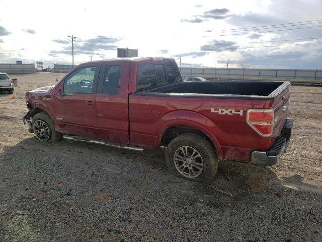 1FTFX1ETXDFB87250 - 2013 FORD F150 SUPER CAB MAROON photo 2