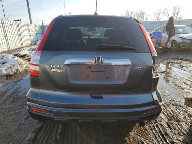 JHLRE4H77AC004325 - 2010 HONDA CR-V EXL GRAY photo 6