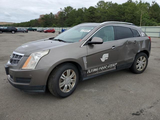 3GYFNDEY6BS675147 - 2011 CADILLAC SRX LUXURY COLLECTION TAN photo 1