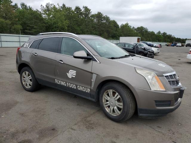 3GYFNDEY6BS675147 - 2011 CADILLAC SRX LUXURY COLLECTION TAN photo 4