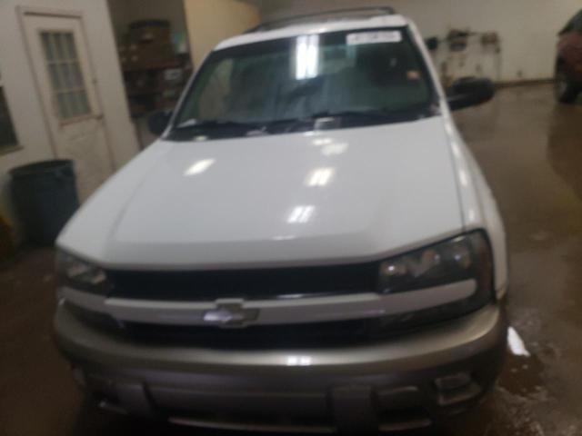 1GNDT13S322209114 - 2002 CHEVROLET TRAILBLAZE WHITE photo 5