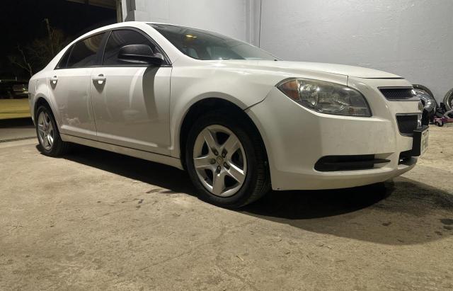 1G1ZB5E05CF318553 - 2012 CHEVROLET MALIBU LS Ağ foto 1