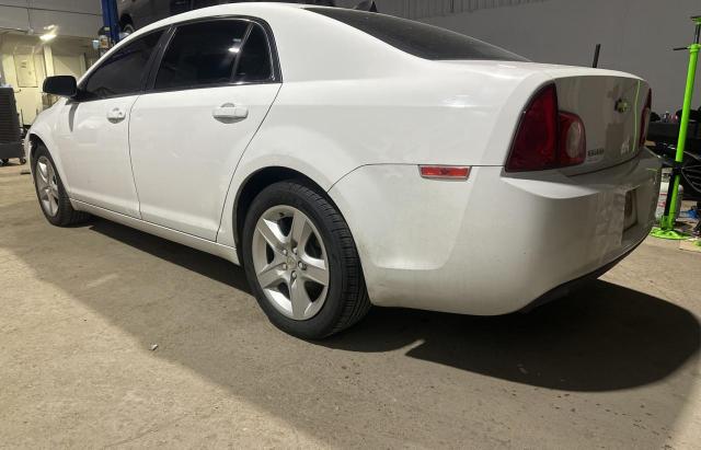 1G1ZB5E05CF318553 - 2012 CHEVROLET MALIBU LS Ağ foto 3