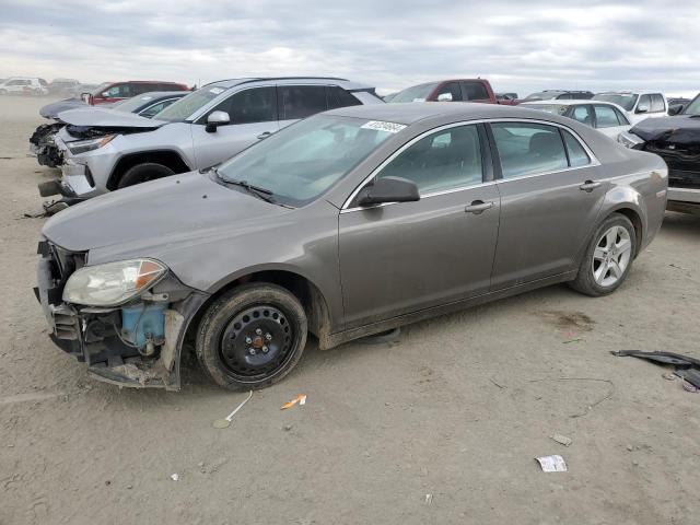 2010 CHEVROLET MALIBU LS, 