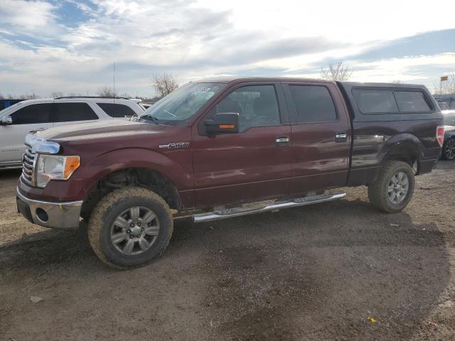 2010 FORD F150 SUPERCREW, 