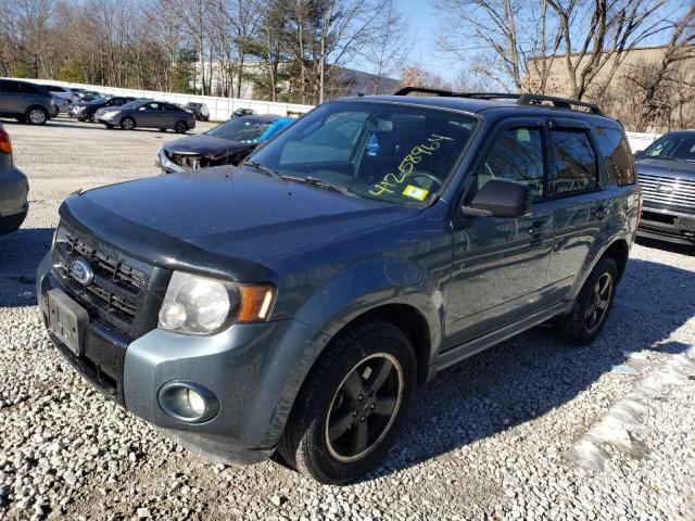 1FMCU9D79BKC35271 - 2011 FORD ESCAPE XLT GREEN photo 1
