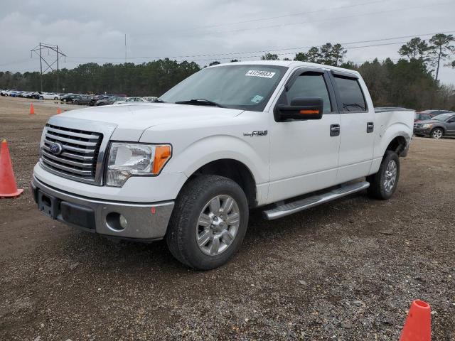 1FTFW1CV7AFD84167 - 2010 FORD F150 SUPER WHITE photo 1