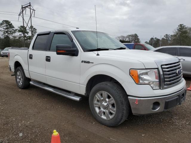 1FTFW1CV7AFD84167 - 2010 FORD F150 SUPER WHITE photo 4