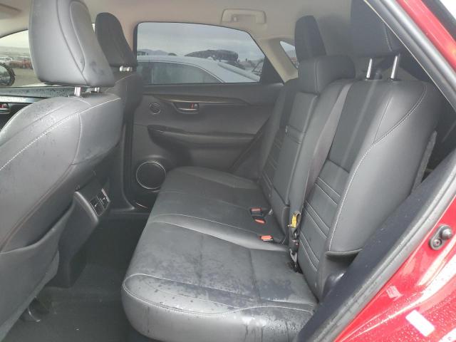 JTJYARBZ1K2135573 - 2019 LEXUS NX 300 BASE 红色 照片 10