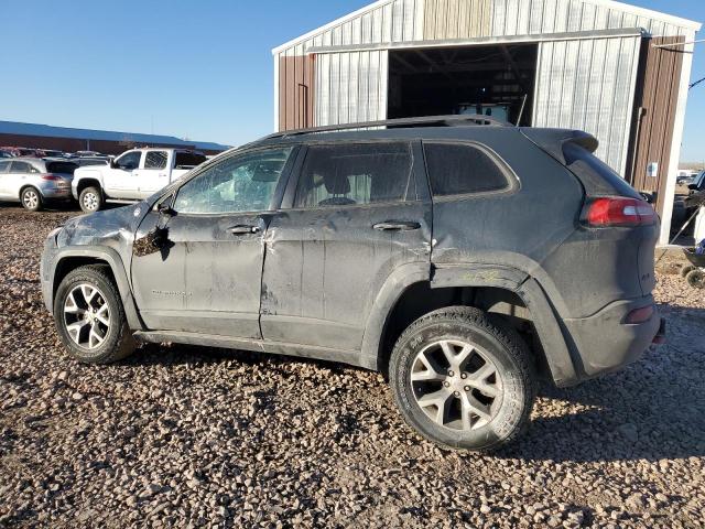 1C4PJMBS6HW630891 - 2017 JEEP CHEROKEE TRAILHAWK 石墨色 照片 2