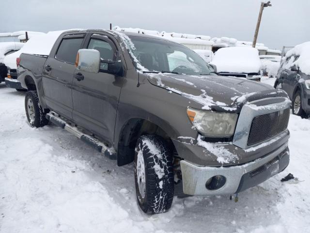 5TFDV54168X057180 - 2008 TOYOTA TUNDRA CREWMAX BROWN photo 4