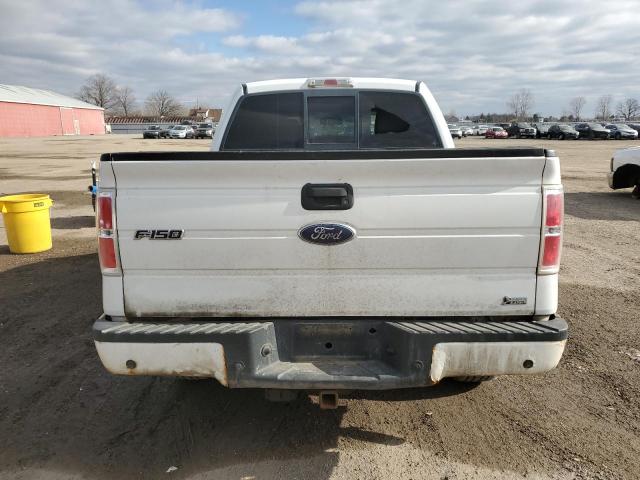 1FTFW1EV0AFA46249 - 2010 FORD F150 SUPERCREW WHITE photo 6