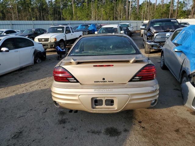 1G2NF52F22C219566 - 2002 PONTIAC GRAND AM SE1 GOLD photo 6