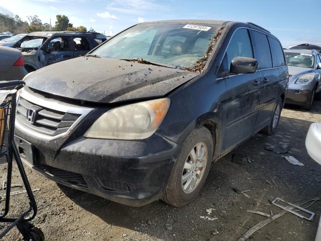 5FNRL38788B074992 - 2008 HONDA ODYSSEY EXL BLACK photo 1