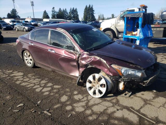 5KBCP3F8XAB013091 - 2010 HONDA ACCORD EXL BURGUNDY photo 4